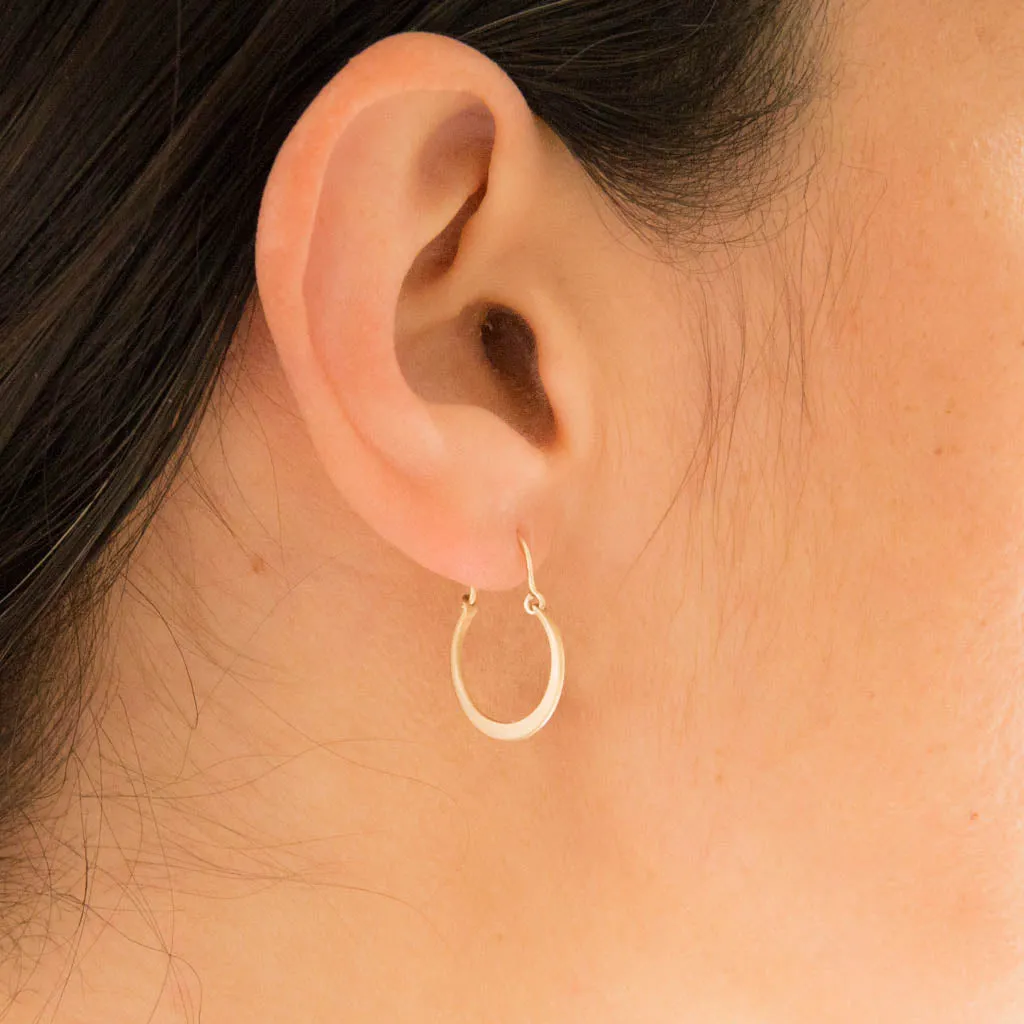 <!--ER864-->lunar hoops